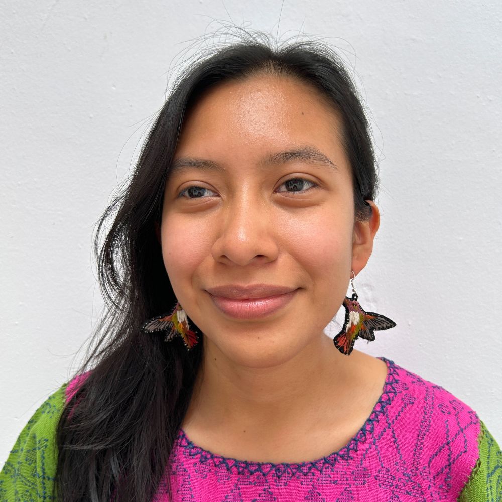 Hummingbird Earrings: Tan