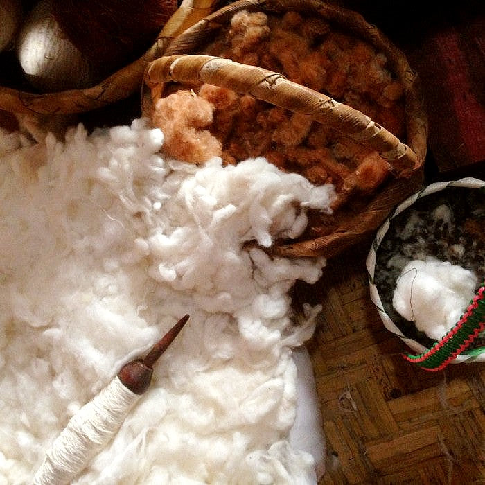 Ixcaco Rebozo 7