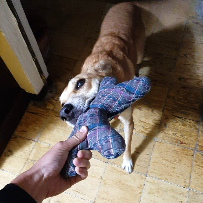 Corte Dog Bone