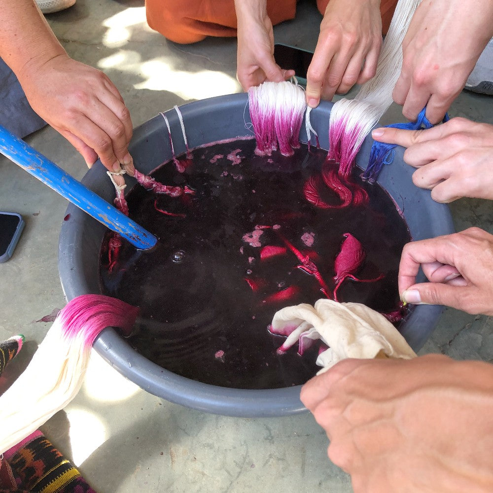 Dried Cochineal for Dyeing