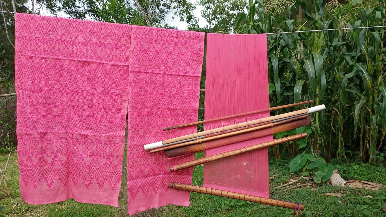 Beginner Pikbil Weave with Doña Margarita / TBD (online)