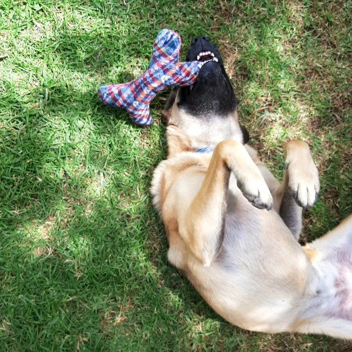 Corte Dog Bone