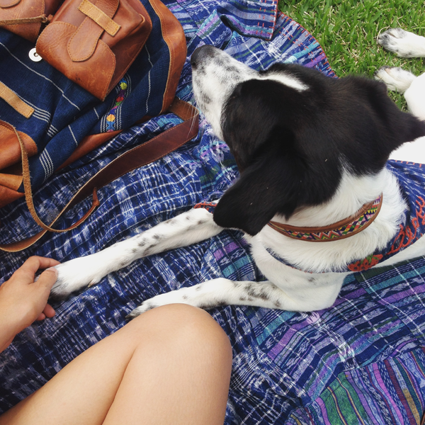 Picnic Blanket