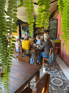 Travel participants at a table in café with "quetzal tail" hanging plants