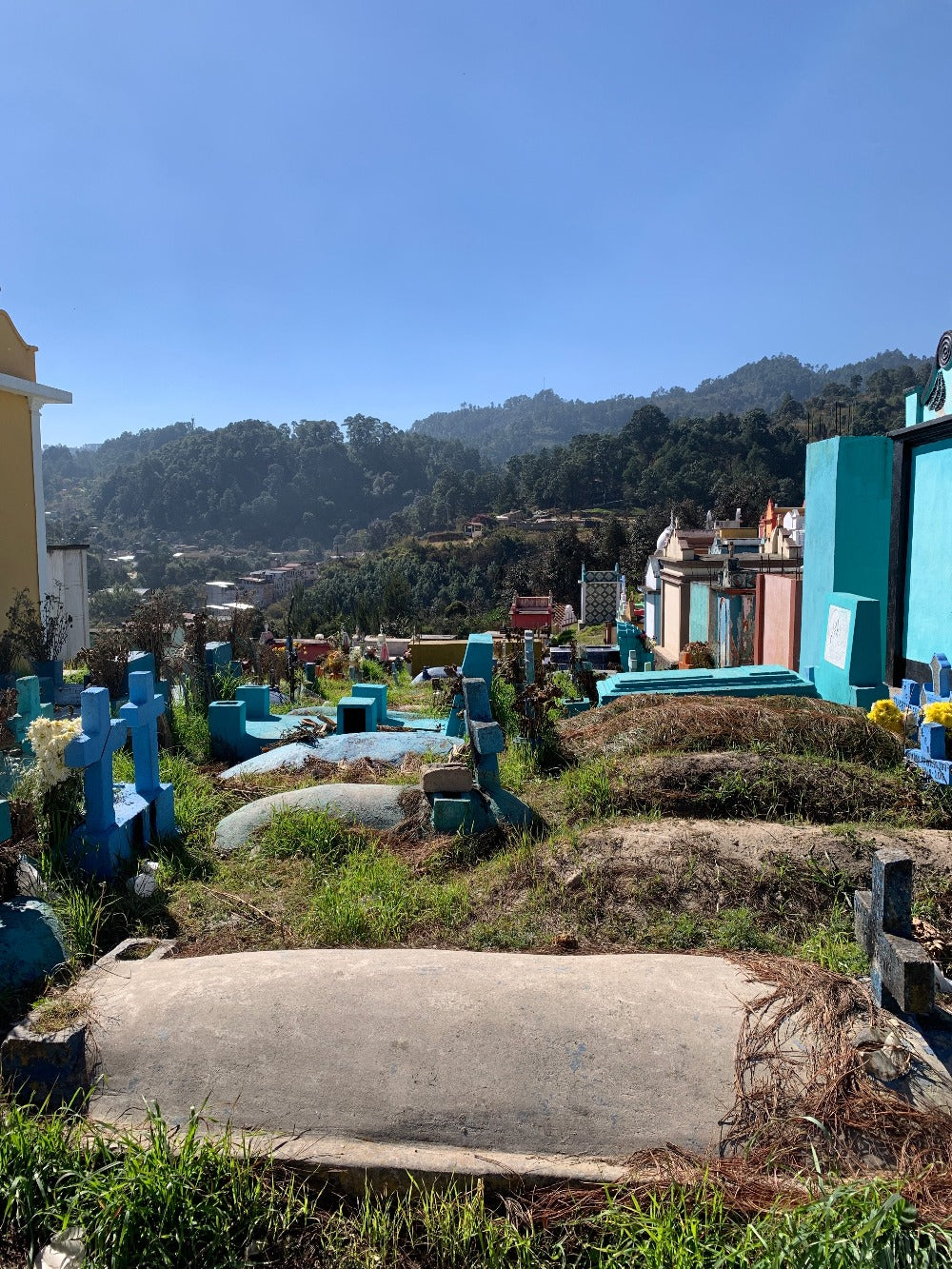 A view of the colorful Chichicastenango cemetery, with lush forest in the back