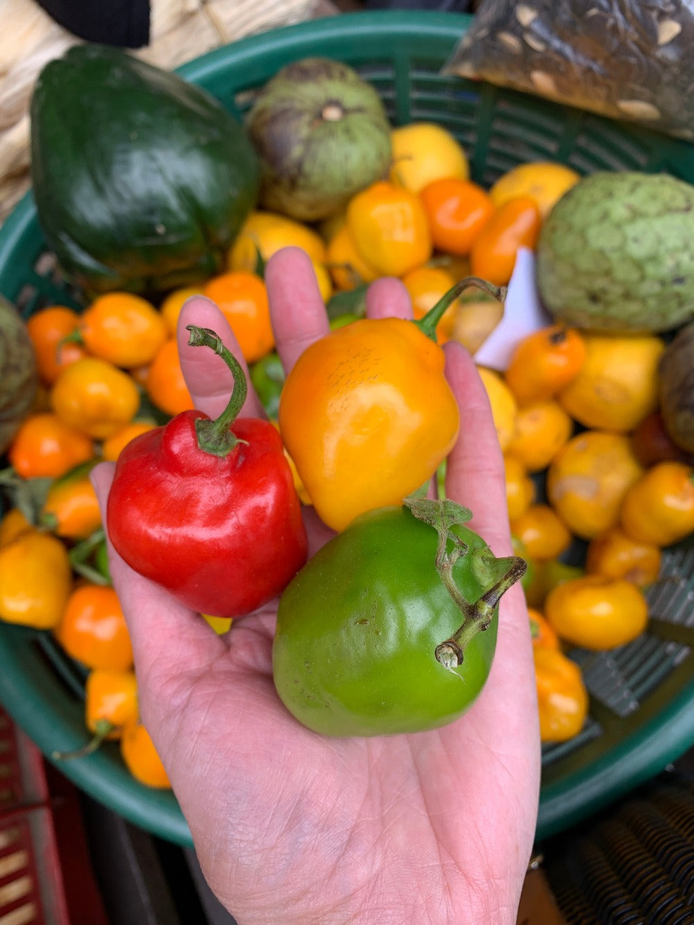 A hand holds colorful peppers at the Chichicastenango market