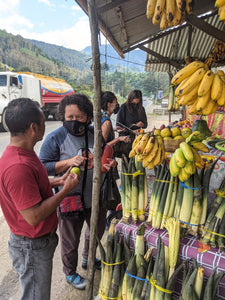 People purchasing fresh fruit