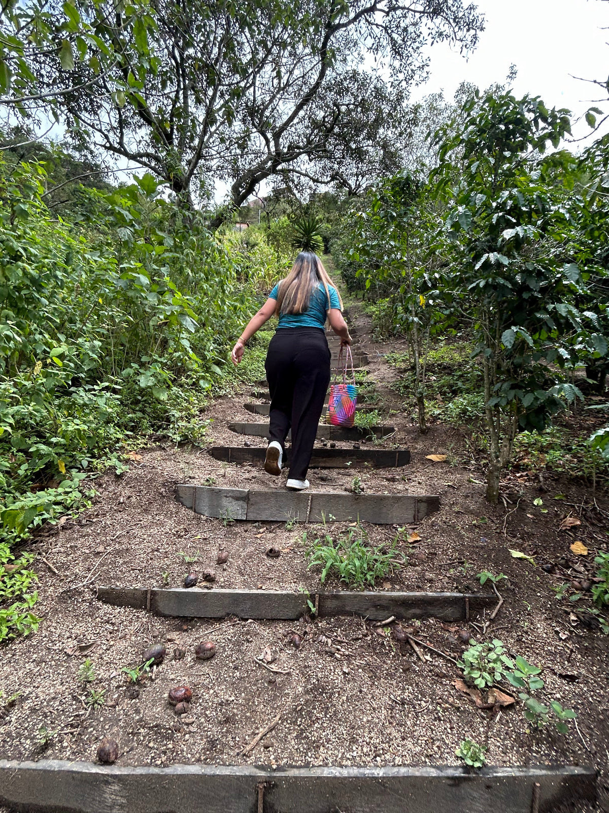 A woman with long hair is seen from behind, walking up a dirt path with concrete steps on a lush, green outdoor path.
