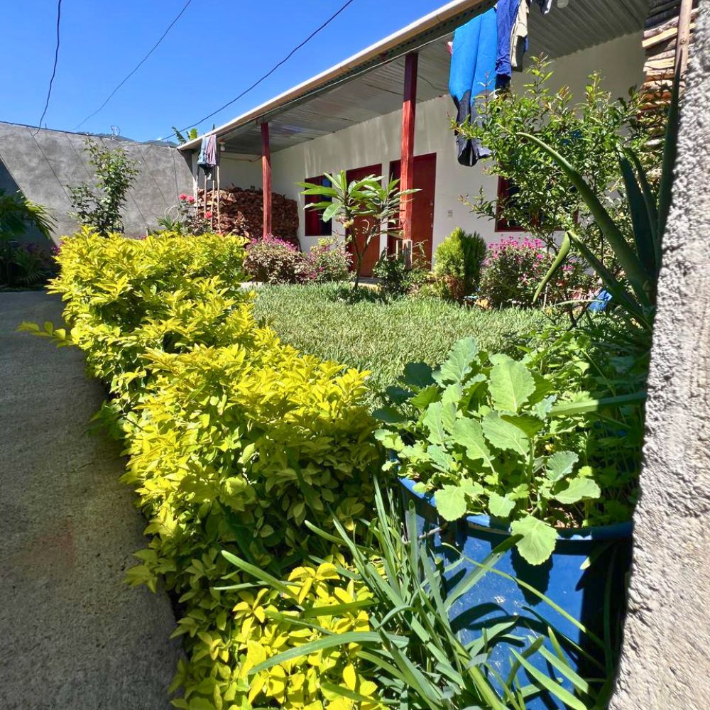 Beautiful garden planted by Doña Marta