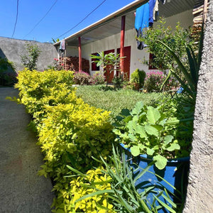 Beautiful garden planted by Doña Marta
