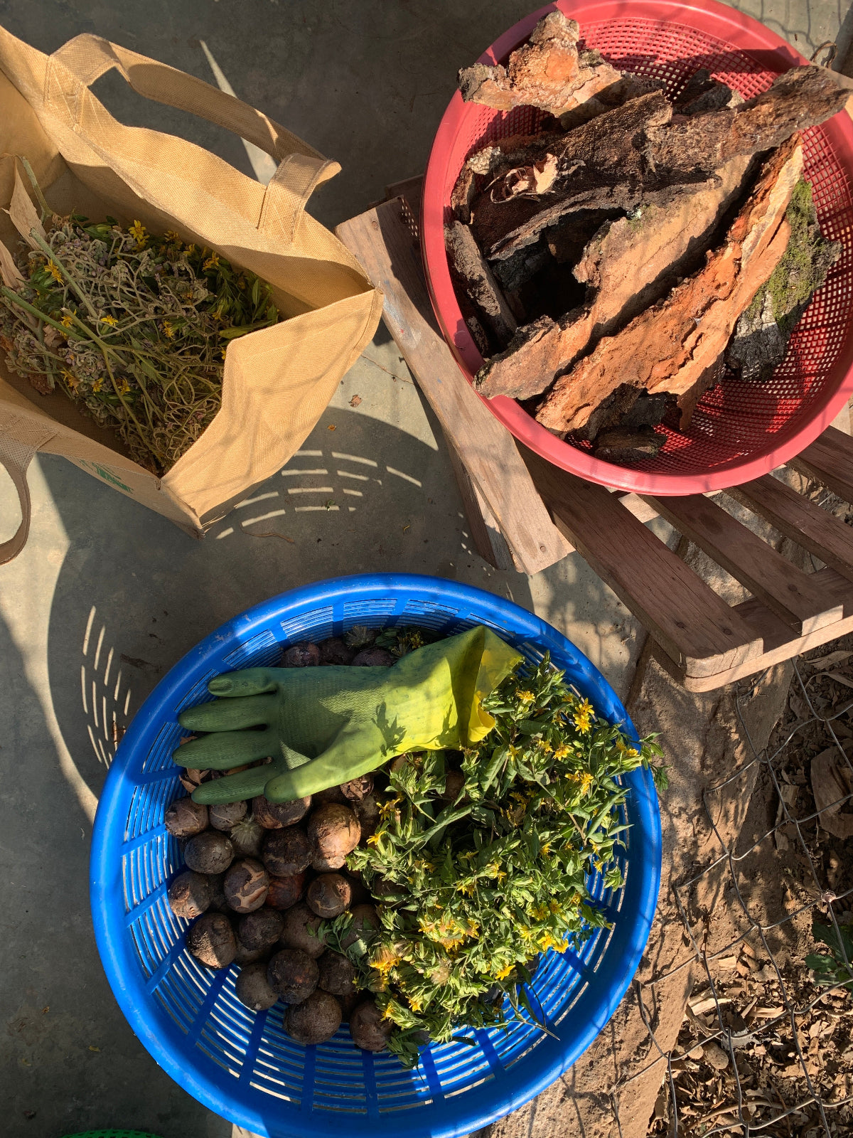 Two baskets, one red and one blue, with dried plants and a green glove on a stone surface.