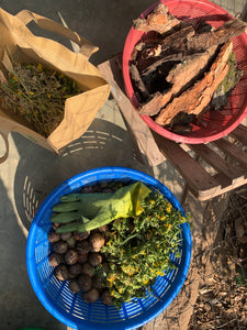 Two baskets, one red and one blue, with dried plants and a green glove on a stone surface.
