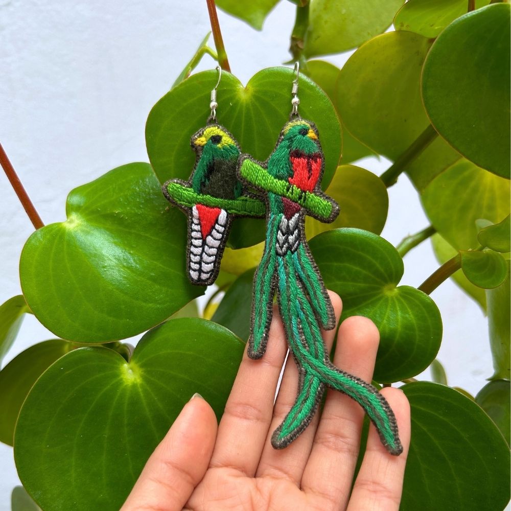 Hand holding quetzal embroidered earrings against a leafy background