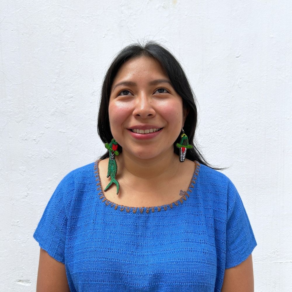 Model wearing quetzal embroidery earrings 