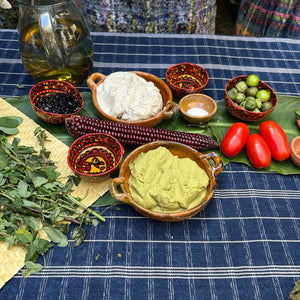 Assorted ingredients including tomatoes, and herbs on a blue checkered tablecloth.