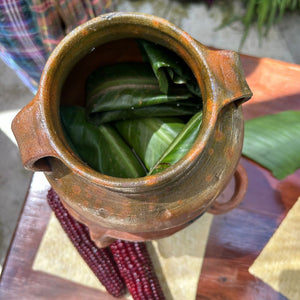 Ceramic pot with green leaves inside on a wooden surface