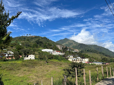 Hillside village with houses and greenery under a blue sky with clouds