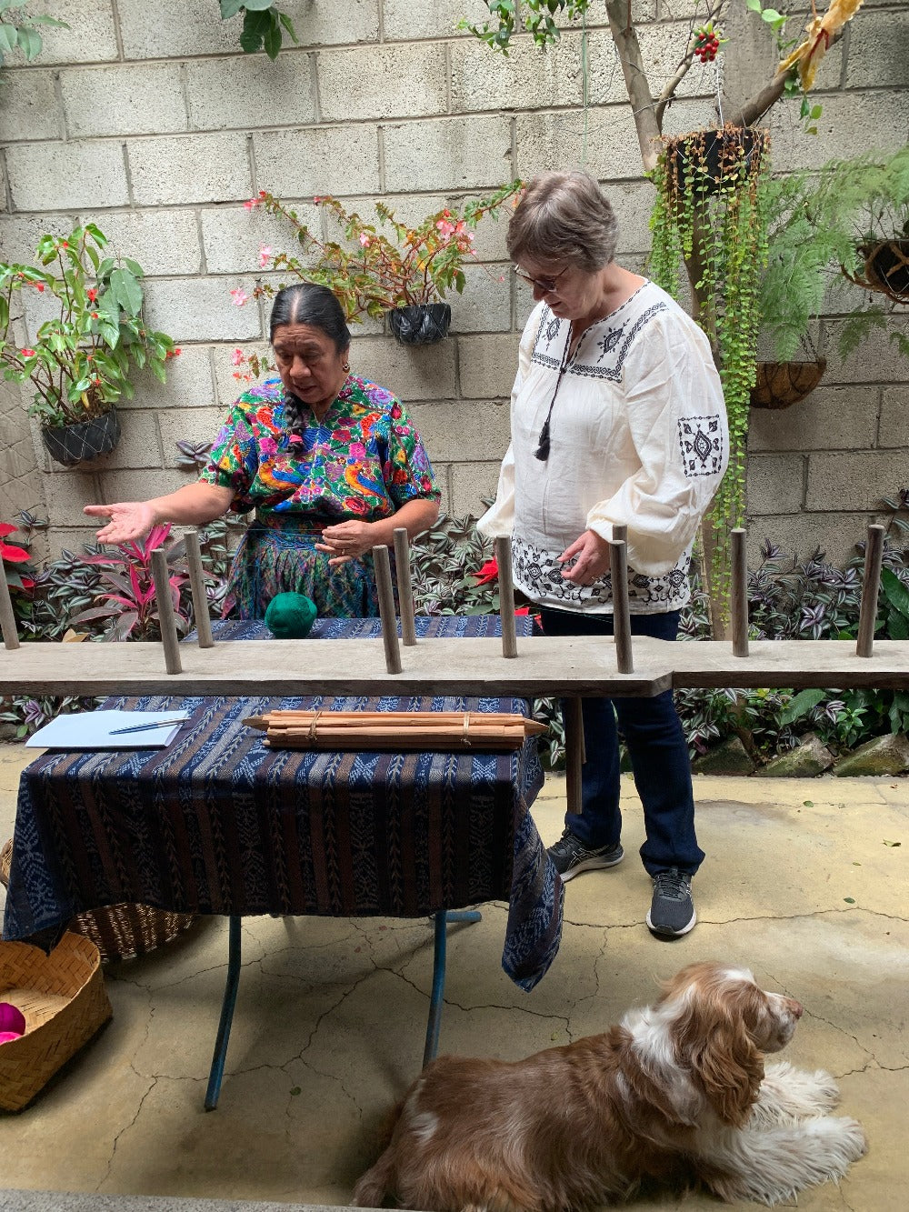 Deposit for Intensive Backstrap Weaving Week, June 24-28, 2024