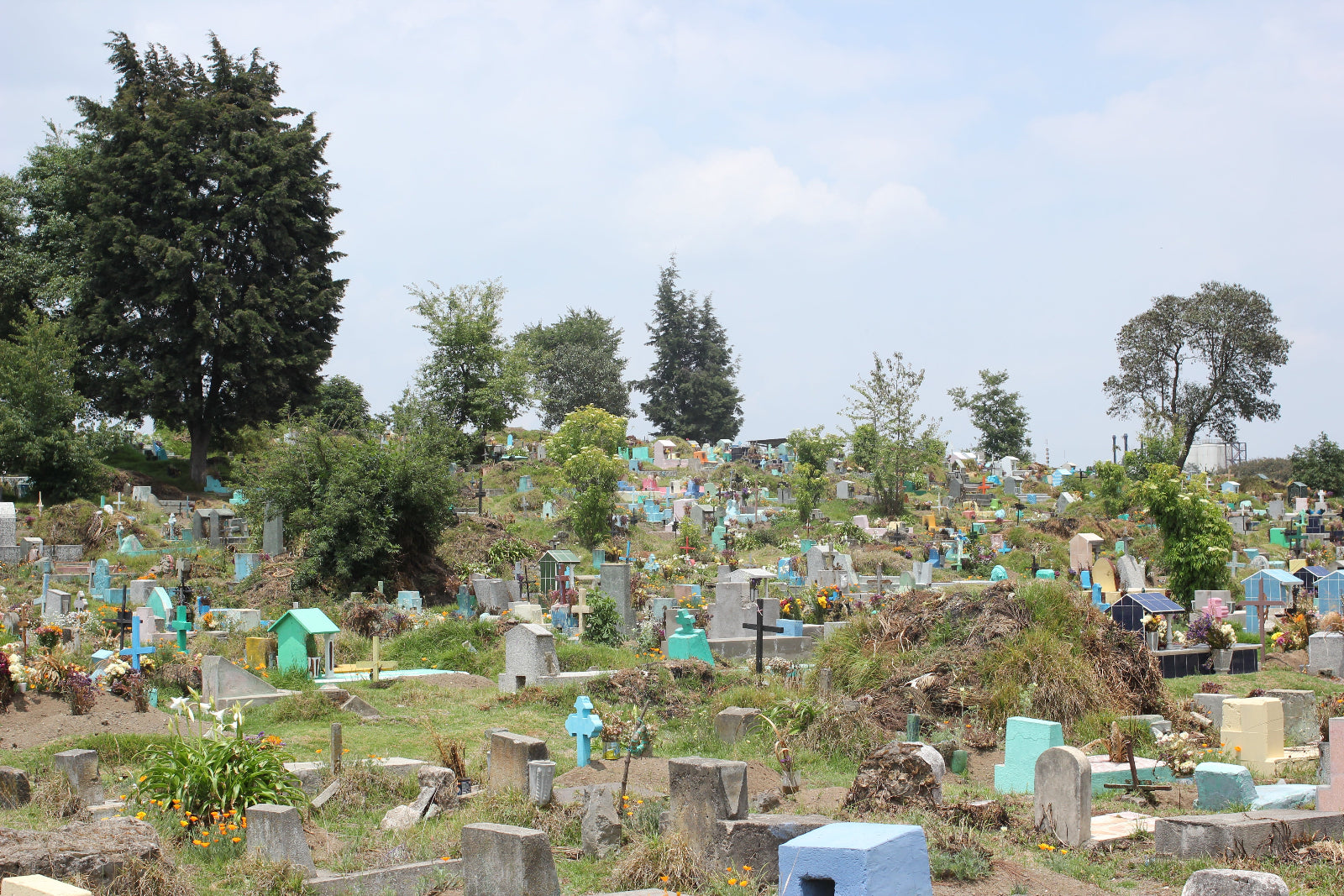 Cemetery with various colored gravestones under a clear blue sky.